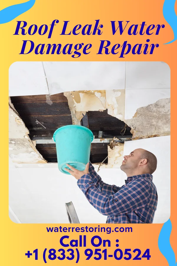 Roof Leak Water Damage Repair in St. Francis, WI